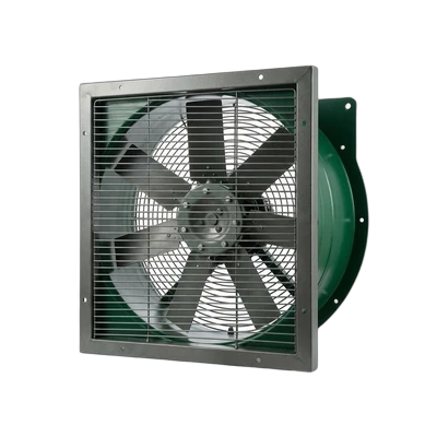 Fans