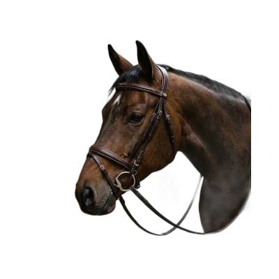 Bridles